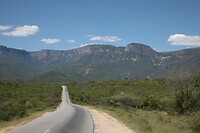 IMG_6205