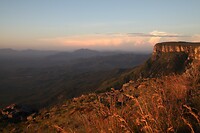 IMG_6349