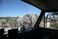 IMG_6435