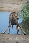 IMG_6551