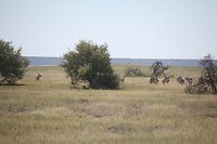IMG_6580