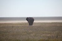 IMG_6599