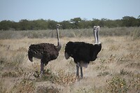 IMG_6615