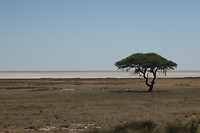 IMG_6627