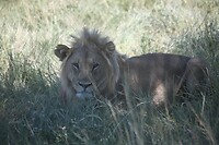 IMG_6635