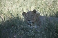 IMG_6639