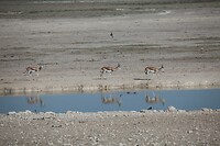 IMG_6642