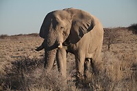 IMG_6958