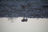IMG_6972