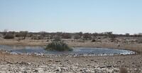 IMG_7011