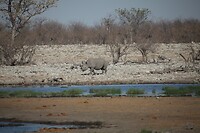 IMG_7034
