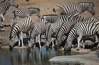 IMG_7050