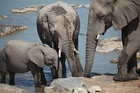 IMG_7086