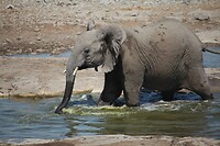 IMG_7103