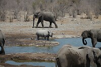 IMG_7127