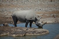 IMG_7128