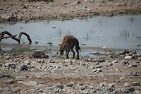 IMG_7139