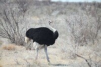 IMG_7151