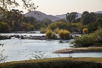 IMG_7194