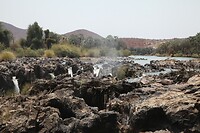 IMG_7375