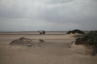 IMG_7443
