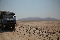 IMG_7517