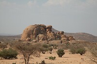 IMG_7527