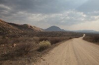 IMG_7534