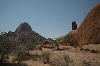 IMG_7582