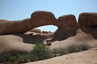 IMG_7595