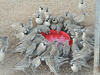 DSCN2572