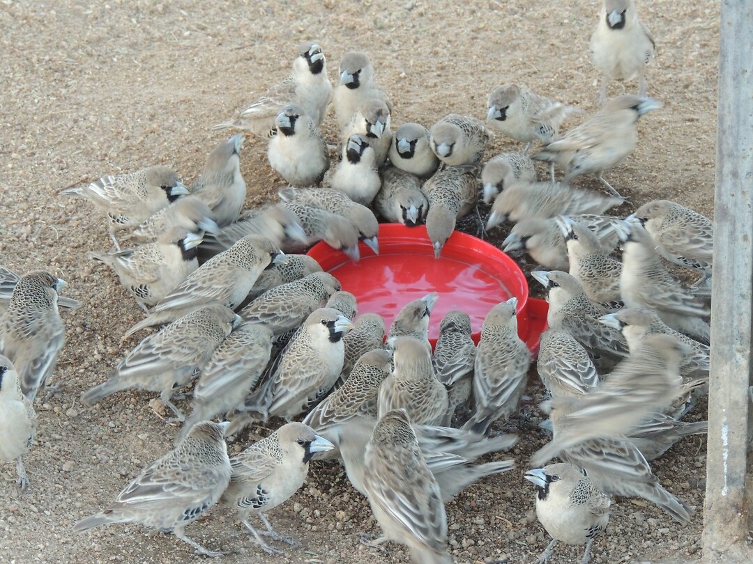DSCN2572