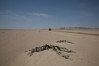 IMG_7661