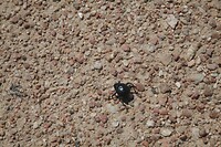 IMG_7667