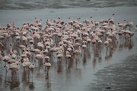 IMG_7767