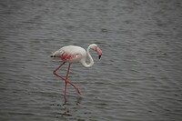 IMG_7794