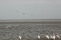 IMG_7837