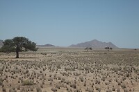 IMG_7847