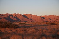 IMG_7860