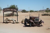 IMG_7873