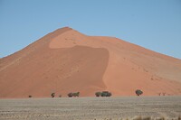 IMG_7901