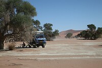 IMG_7919