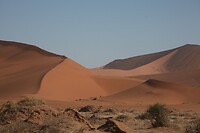 IMG_7929