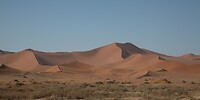 IMG_7933