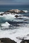 IMG_8080