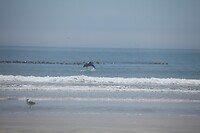 IMG_8136