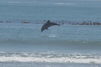 IMG_8137