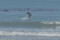 IMG_8138