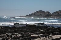 IMG_8156