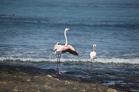 IMG_8171